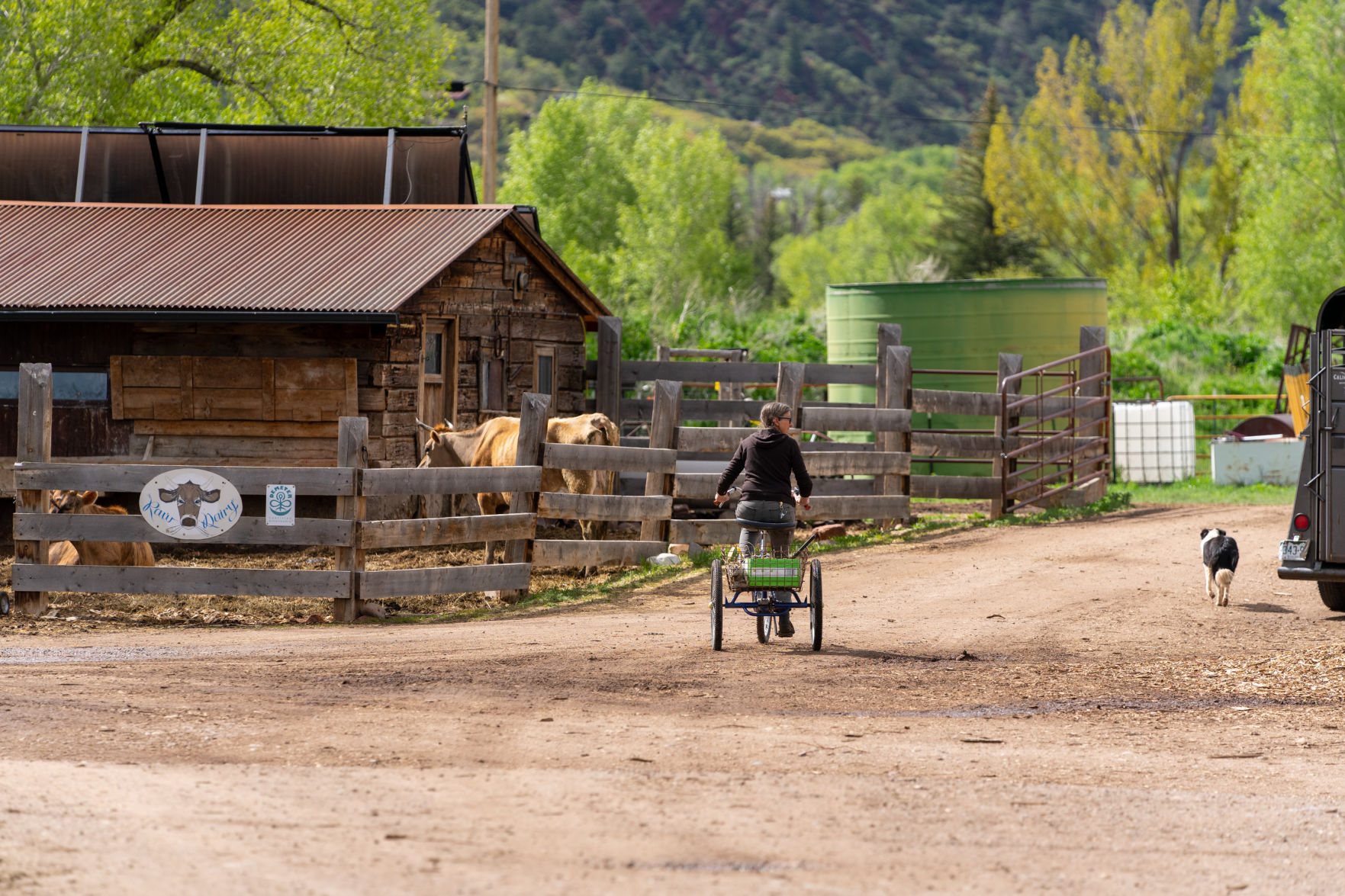 Farm